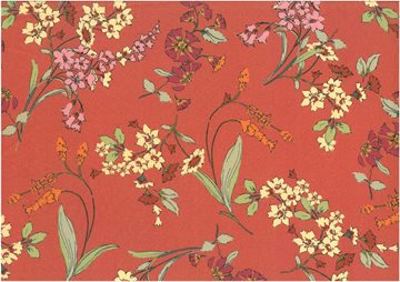 Manduel Apricot